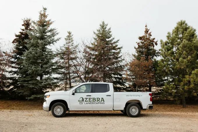 A white Zebra Landscaping pickup truck parked in front of spruce trees