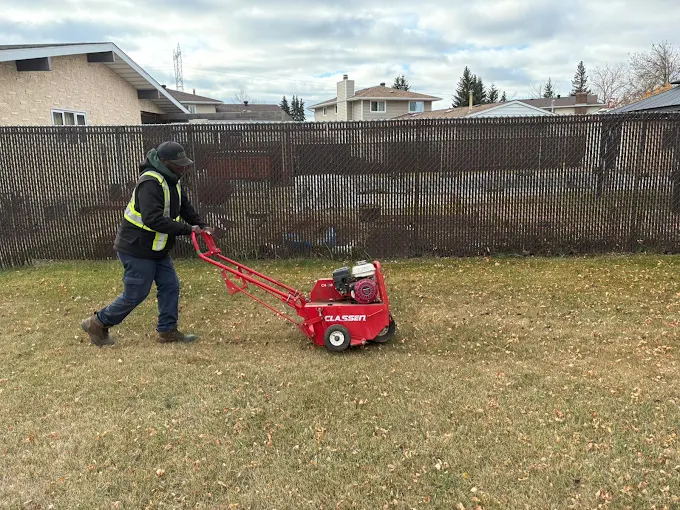Zebra Landscaping — Spring Cleanup & Yard Removal