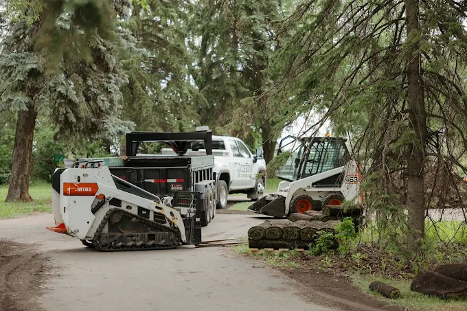 Zebra Landscaping